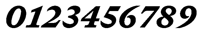 GTCanon SBlackItalic 2 Font OTHER CHARS