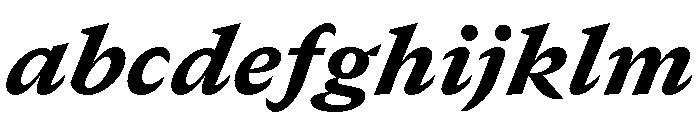 GTCanon SBlackItalic 2 FONT