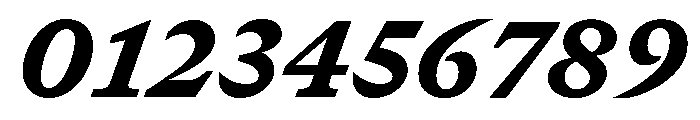 GTCanon SBlackItalic Font OTHER CHARS