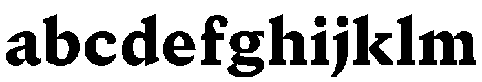 GTCanon SBlack FONT