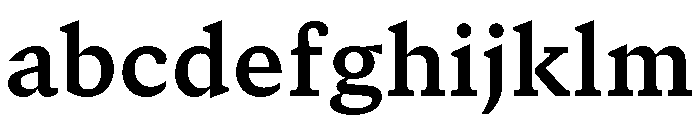 GTCanon SBold FONT