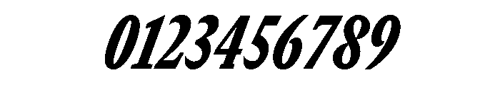 GTCanon SCondensedBlackItalic Font OTHER CHARS
