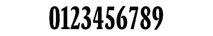 GTCanon SCondensedHeavy 2 Font OTHER CHARS