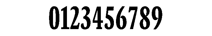 GTCanon SCondensedHeavy Font OTHER CHARS