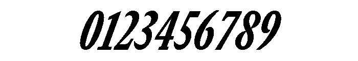 GTCanon SCondensedHeavyItalic 2 Font OTHER CHARS