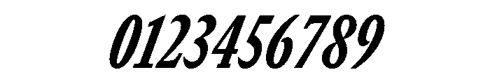 GTCanon SCondensedHeavyItalic Font OTHER CHARS