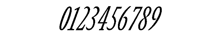 GTCanon SCondensedLightItalic 2 Font OTHER CHARS