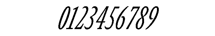 GTCanon SCondensedLightItalic Font OTHER CHARS