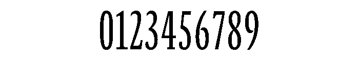 GTCanon SCondensedRegular Font OTHER CHARS