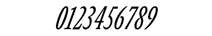 GTCanon SCondensedRegularItalic 2 Font OTHER CHARS