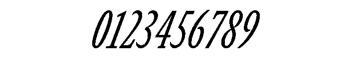 GTCanon SCondensedRegularItalic Font OTHER CHARS