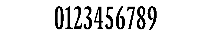 GTCanon SCondensedSemibold 2 Font OTHER CHARS