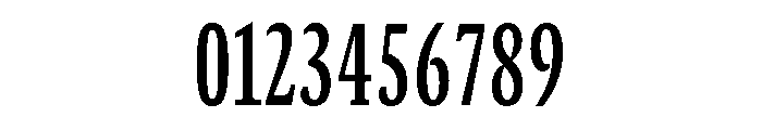 GTCanon SCondensedSemibold Font OTHER CHARS