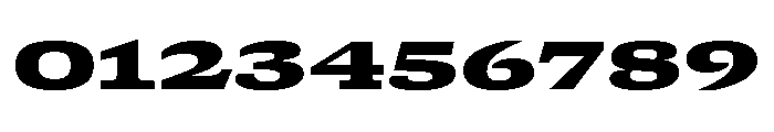 GTCanon SExpandedBlack Font OTHER CHARS