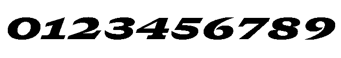 GTCanon SExpandedBlackItalic 2 Font OTHER CHARS