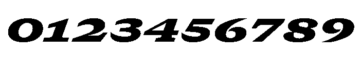 GTCanon SExpandedBlackItalic Font OTHER CHARS