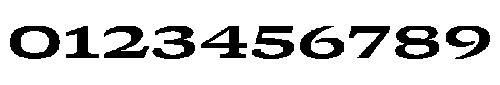 GTCanon SExpandedBold 2 Font OTHER CHARS