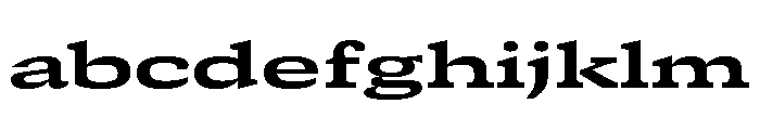 GTCanon SExpandedBold 2 FONT