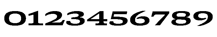 GTCanon SExpandedBold Font OTHER CHARS