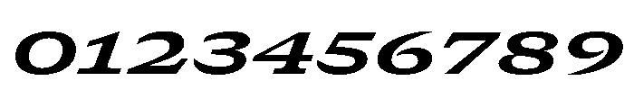 GTCanon SExpandedBoldItalic Font OTHER CHARS