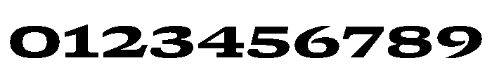 GTCanon SExpandedHeavy Font OTHER CHARS