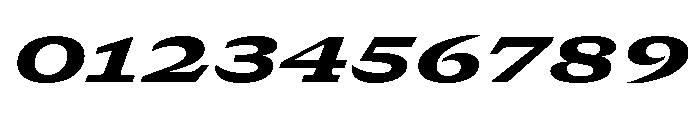 GTCanon SExpandedHeavyItalic 2 Font OTHER CHARS