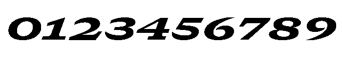 GTCanon SExpandedHeavyItalic Font OTHER CHARS