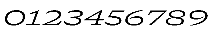 GTCanon SExpandedLightItalic Font OTHER CHARS