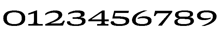GTCanon SExpandedMedium 2 Font OTHER CHARS