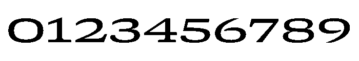 GTCanon SExpandedMedium Font OTHER CHARS