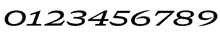 GTCanon SExpandedMediumItalic 2 Font OTHER CHARS