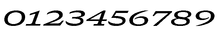 GTCanon SExpandedMediumItalic Font OTHER CHARS