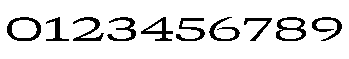 GTCanon SExpandedRegular Font OTHER CHARS