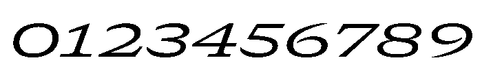 GTCanon SExpandedRegularItalic 2 Font OTHER CHARS