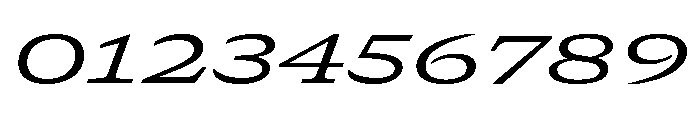 GTCanon SExpandedRegularItalic Font OTHER CHARS
