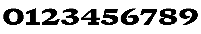 GTCanon SExtendedBlack Font OTHER CHARS