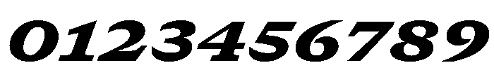 GTCanon SExtendedBlackItalic 2 Font OTHER CHARS
