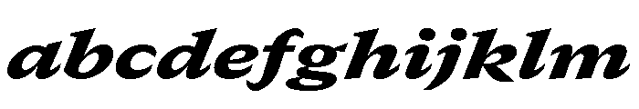 GTCanon SExtendedBlackItalic 2 FONT