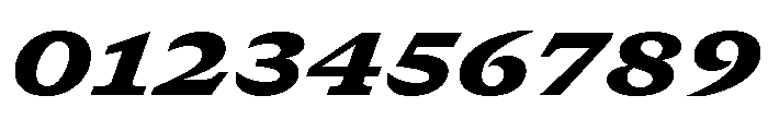 GTCanon SExtendedBlackItalic Font OTHER CHARS