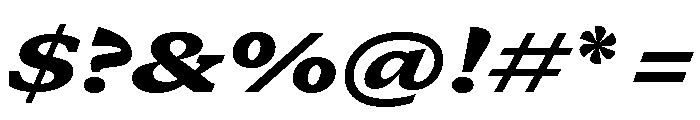 GTCanon SExtendedBlackItalic Font OTHER CHARS