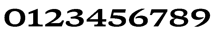 GTCanon SExtendedBold 2 Font OTHER CHARS