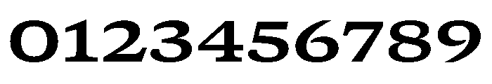 GTCanon SExtendedBold Font OTHER CHARS