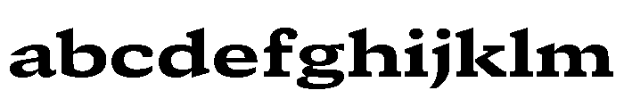GTCanon SExtendedHeavy 2 FONT