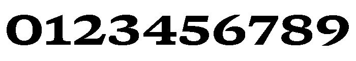 GTCanon SExtendedHeavy Font OTHER CHARS