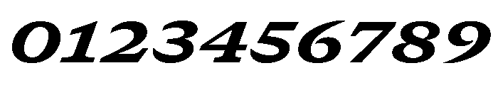 GTCanon SExtendedHeavyItalic 2 Font OTHER CHARS