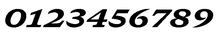 GTCanon SExtendedHeavyItalic Font OTHER CHARS