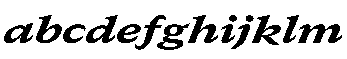 GTCanon SExtendedHeavyItalic FONT