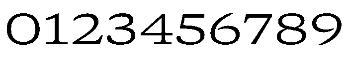 GTCanon SExtendedLight Font OTHER CHARS