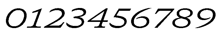 GTCanon SExtendedLightItalic Font OTHER CHARS