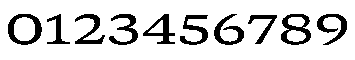 GTCanon SExtendedMedium Font OTHER CHARS